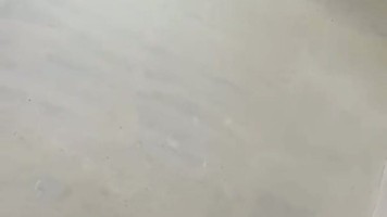 Skandal Mahasiswi Ngewe Dibikin Orgasme Keenakan