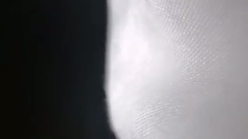 Bokep Premium Indo Hiijab Tobrut Di Hotel 4